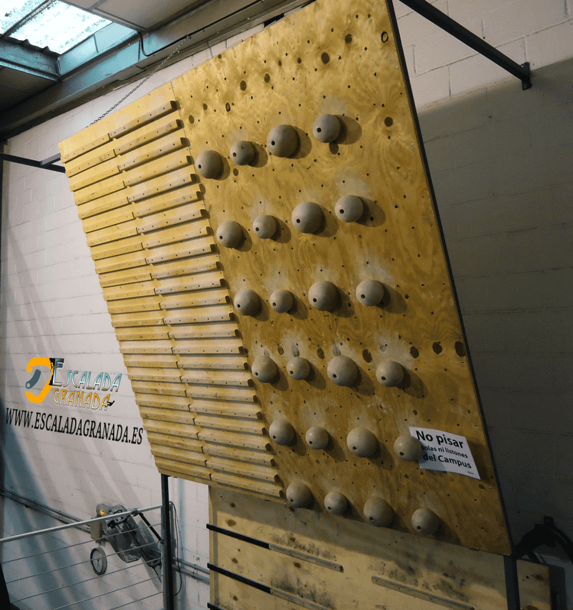 Ejercicios de fuerza en campus board