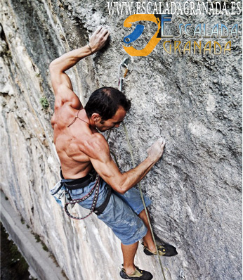 Entrenamiento campus board