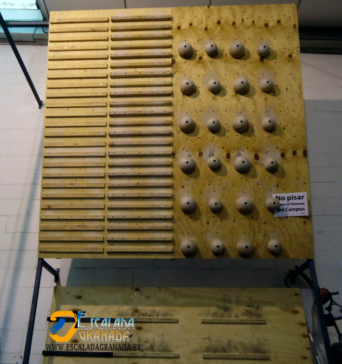 Tabla de entrenamiento campus board. Vista frontal