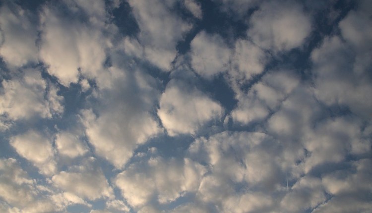 Nube stratocumulus