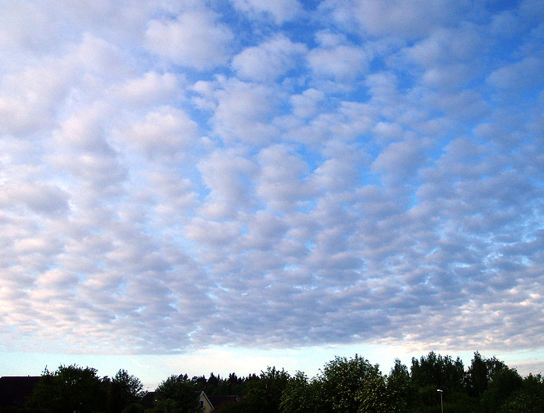 Nube altocumulus